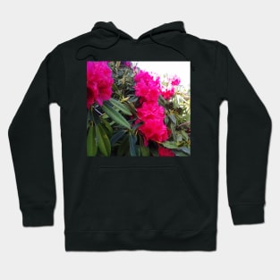 Washington Red Hoodie